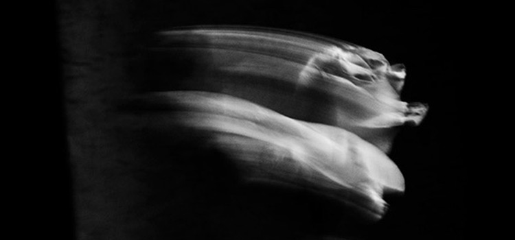 Profile Banner