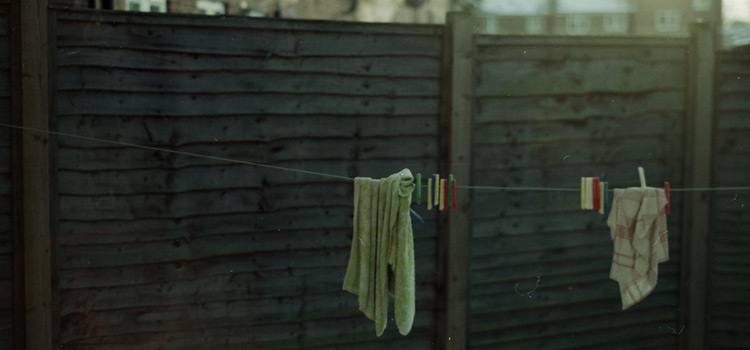 Profile Banner